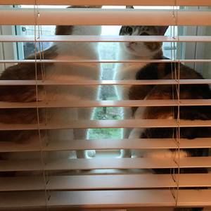 Meet your Posher, Sheri